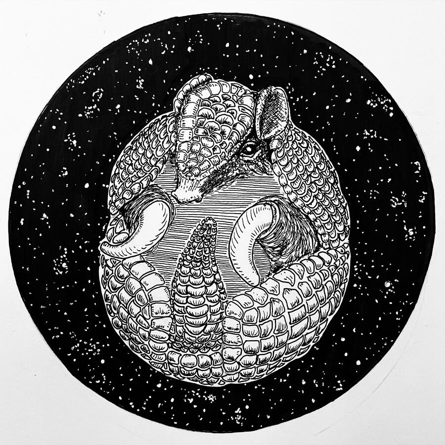 ARMADILLO